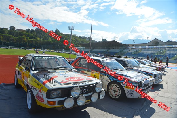 DSC_7365.JPG